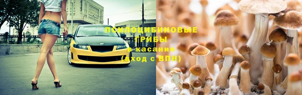 гидропоника Аркадак